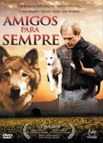 Amigos Para Sempre (2008)