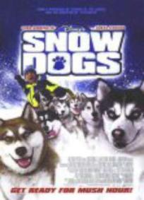 Neve pra Cachorro