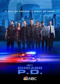 Chicago P.D. - 7ª Temporada