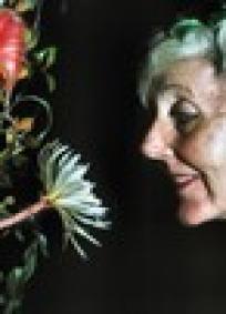 Margaret Mee e a Flor da Lua