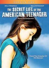 The Secret Life of the American Teenager - 1a Temporada