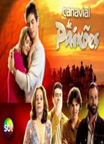 Canavial de Paixões