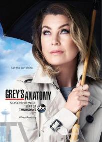 Greys Anatomy - 12° Temporada