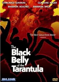 O Ventre Negro da Tarântula