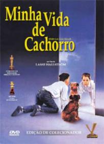 Minha Vida de Cachorro