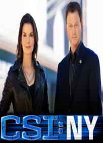CSI: NY - 7ª Temporada