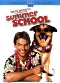 Curso de Verão