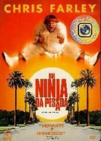 Um Ninja da Pesada