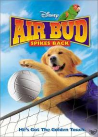 Bud 5 - Arrasando no Vôlei