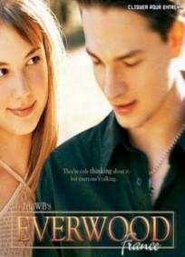 Everwood - 1ª Temporada