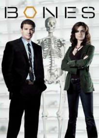 Bones - 1ª Temporada
